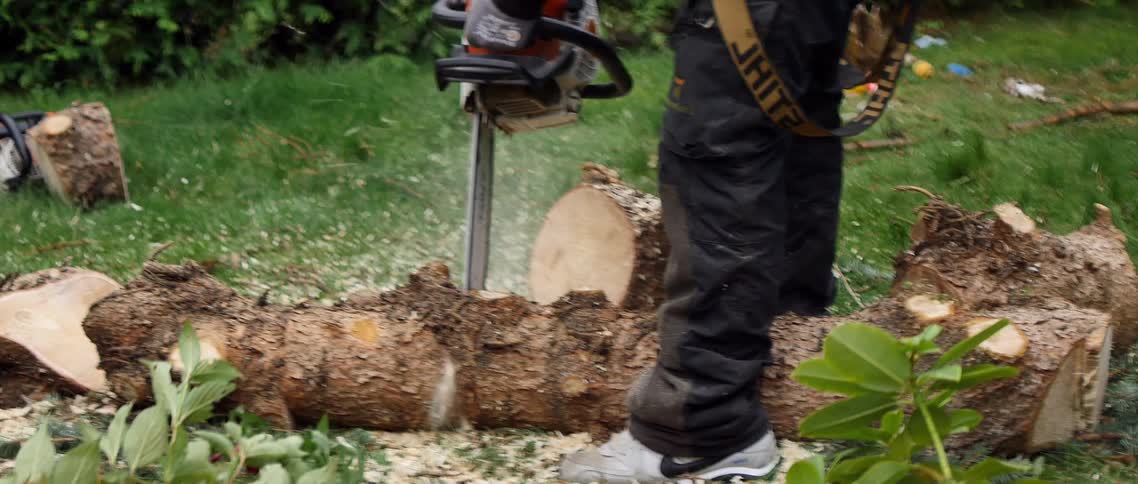 Man uses a chainsaw to cut tree trunk in smaller pieces
