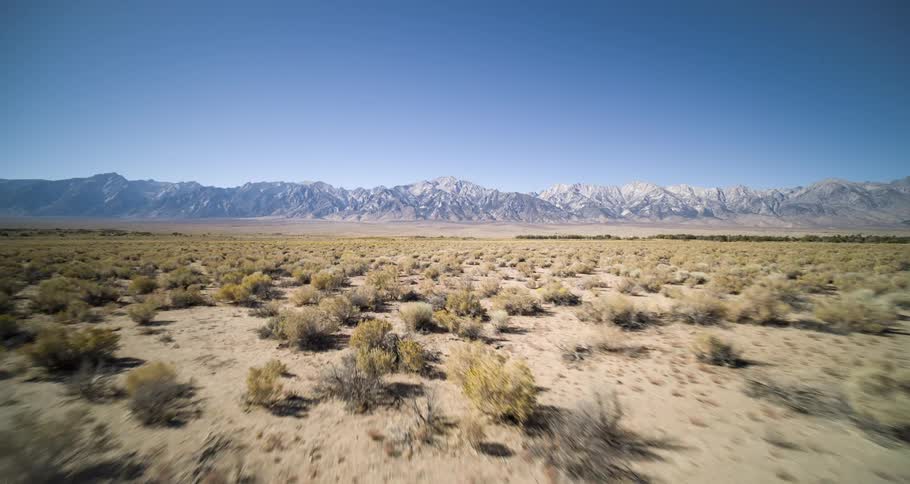Landscape of a soil with desert vegetation and in the background snowy mountain ranges on a blue sky day