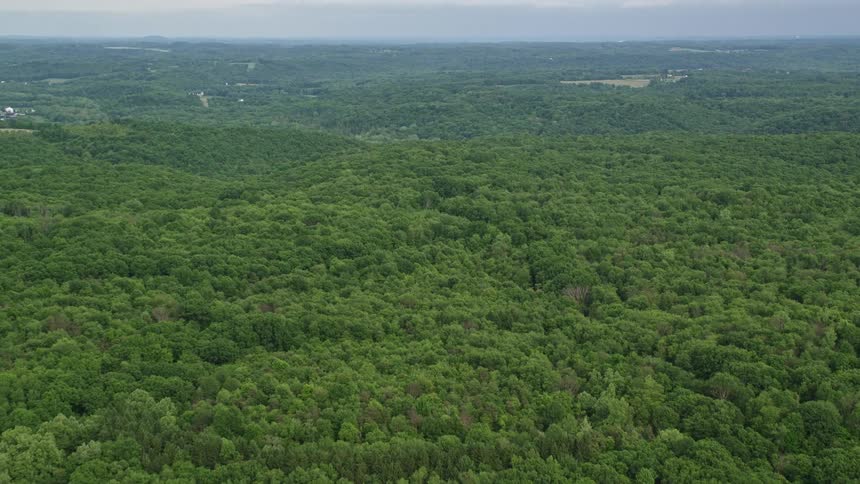 Aerial landscape of forests amidst hills and mountains