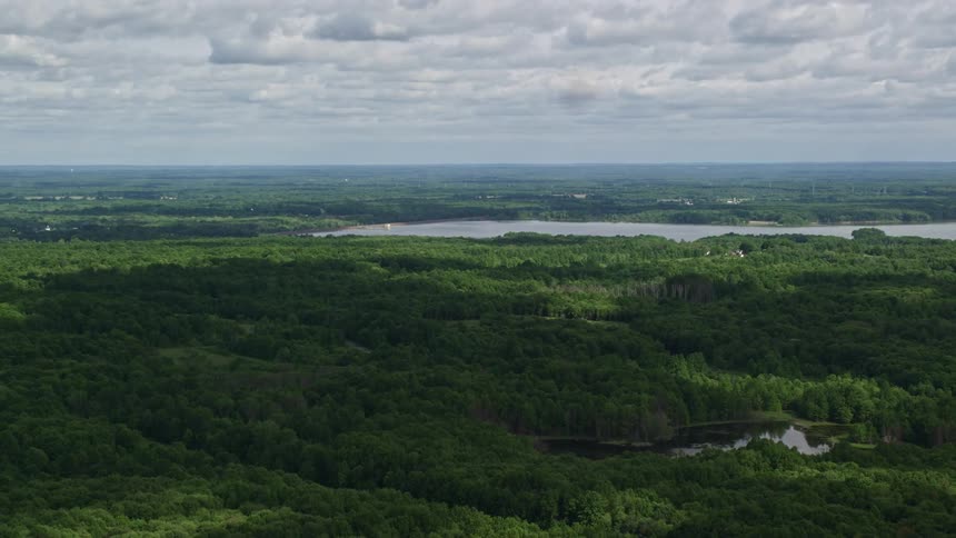 Aerial panorama of a greenish forest by rivers on a cloudy sky day