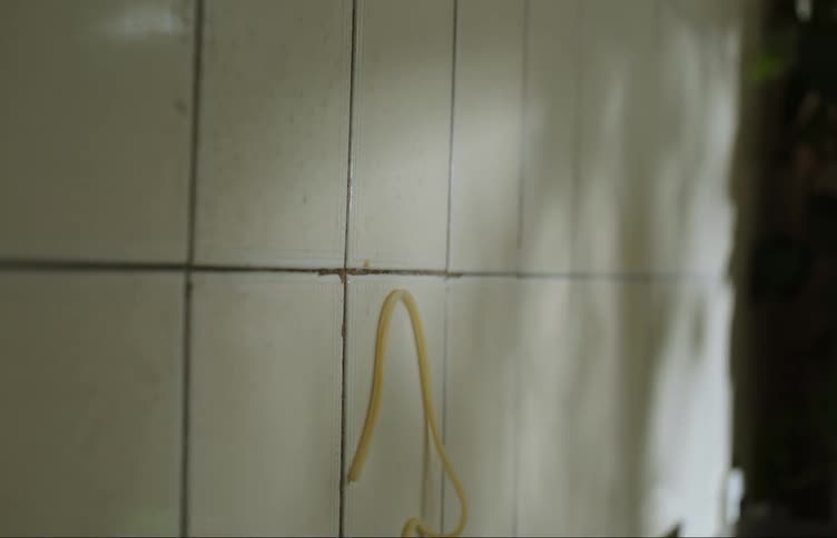 A spaghetti noodle slides down a tile wall next to the kitchen refrigerator