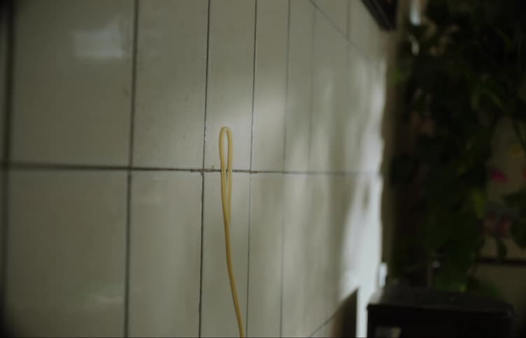 Spaghetti thrown to the wall to check if its cooked