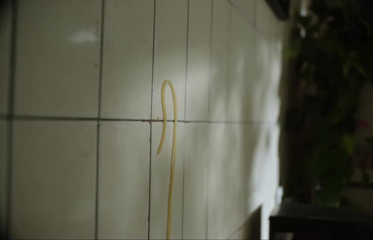 Noodle stuck to kitchen wall slips and falls