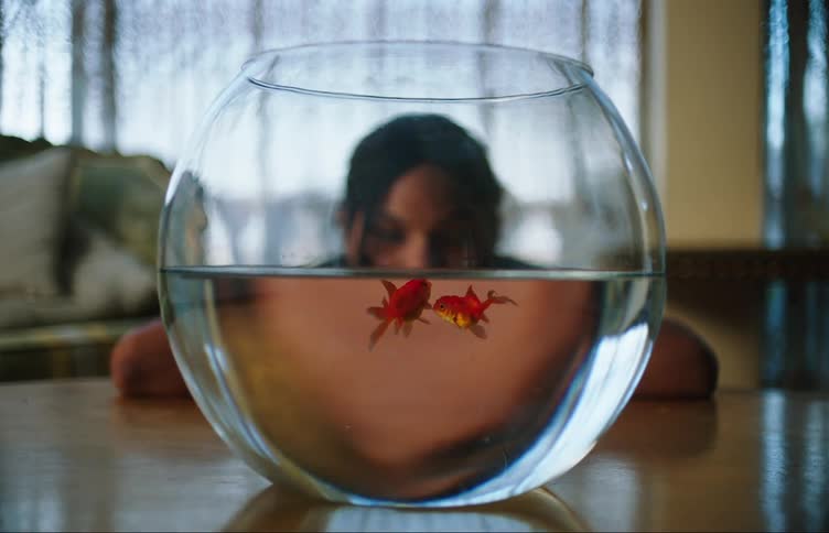 A teen girl is watching two goldfish swim in a bowl