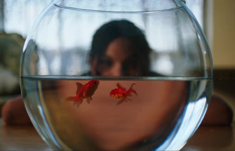 A teenage girl looking at a couple of goldfish in a fishbowl
