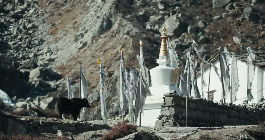 Prayer flags wave in the wind from the top of a stupa in the himalaya