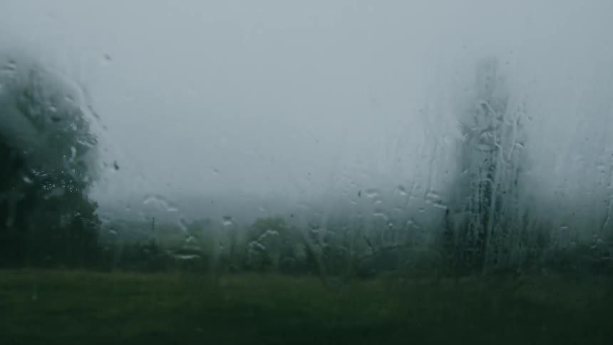 Foggy vehicle window with raindrops overlooking a natural environment of trees on a foggy day