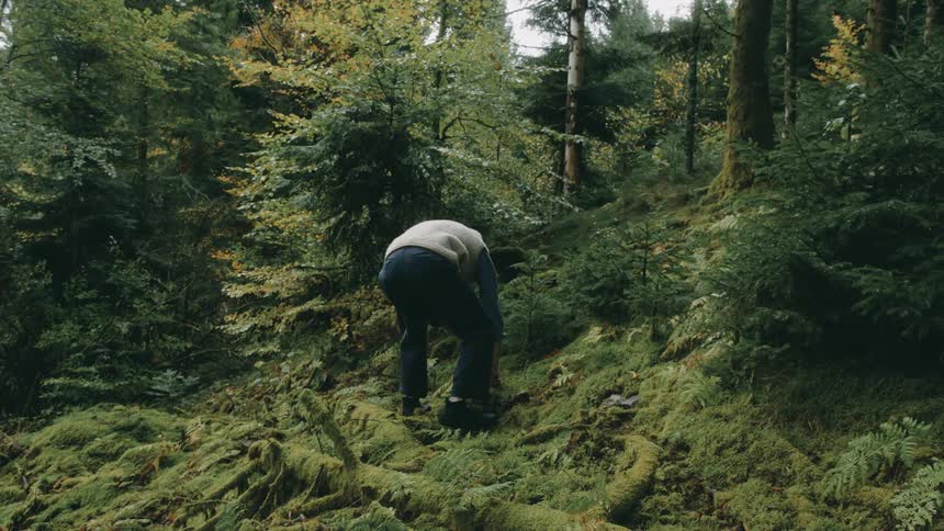 Man squatting picking mushrooms in the forest