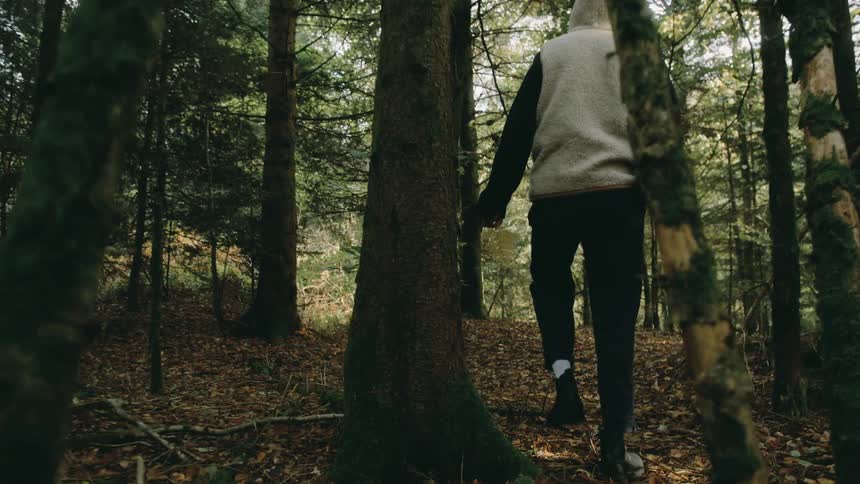 Man wearing a hoodie walks on the forest