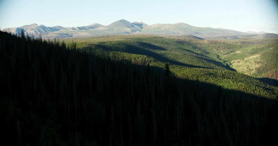 An aerial clip of a thick forest