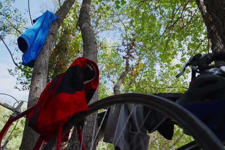 Clothes hanging from a tree and a bicycle