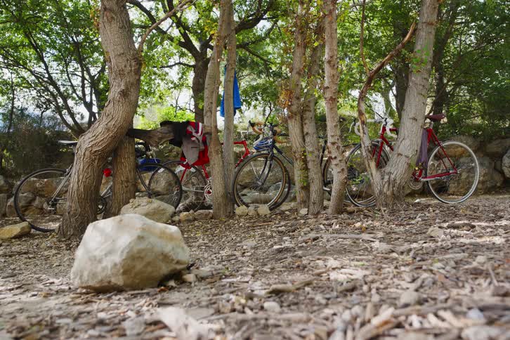 Multiple bicycles stand near trees next to low wall of boulders