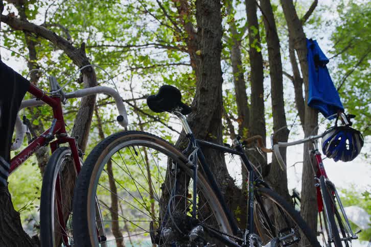 Clothes hanging from trees and bicycles in the woods