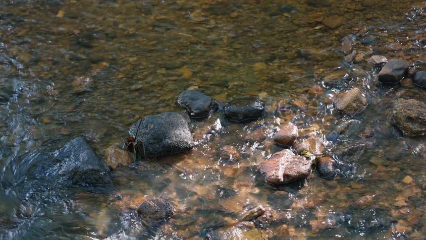 Shallow river with flowing water and small rocks with sun reflection