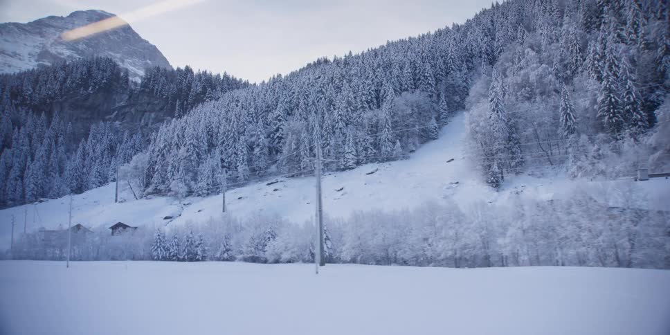 View from inside a moving public transport to mountains with snow covered conifers during the day