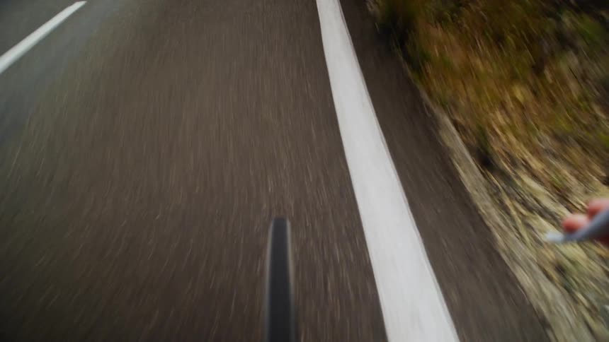 Two people cycling down a road lined with trees and grass