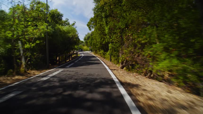 Point of view of a bicycle riding on a narrow road with trees around during the day