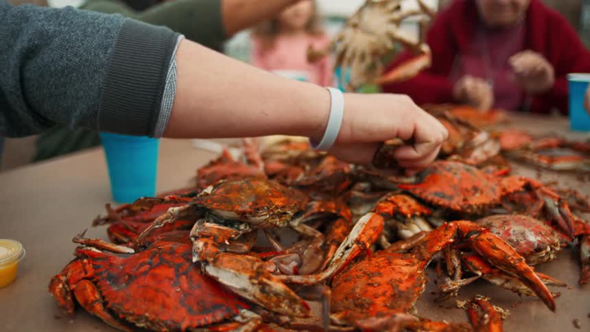 Group of people sitting at a table eating crab