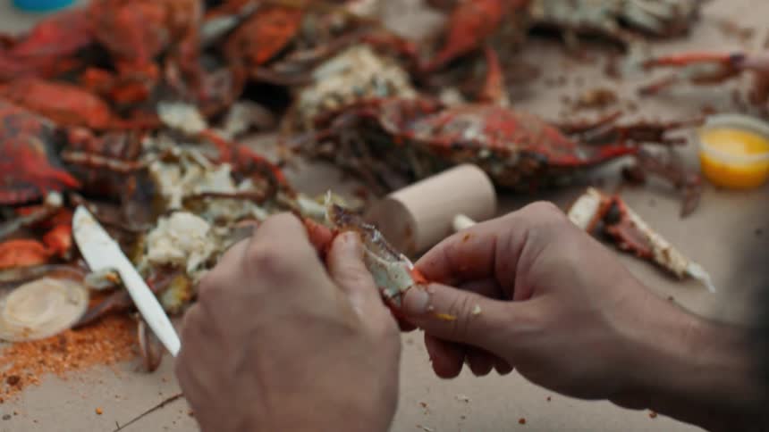 Closeup of a mans hands eating a crab