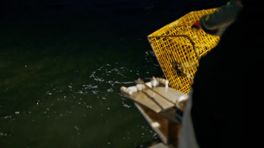 Two men pulling a crab cage from the sea