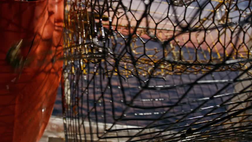 A fisherman shakes the remaining crab out of a crab cage