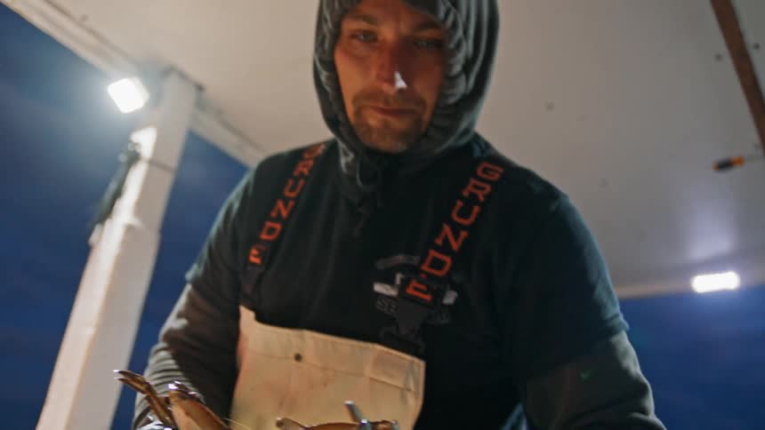 Fisherman with a protective glove holding a crab while on a boat one morning