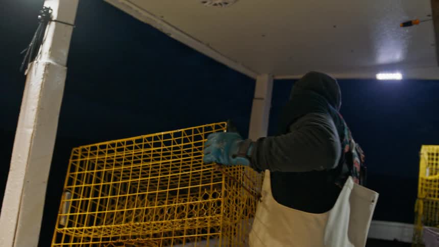 Man inside a boat at night picking up a fishing cage