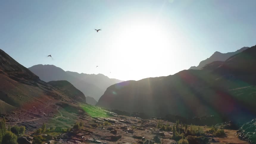 Birds fly towards the camera as it pulls back showing a mountain range