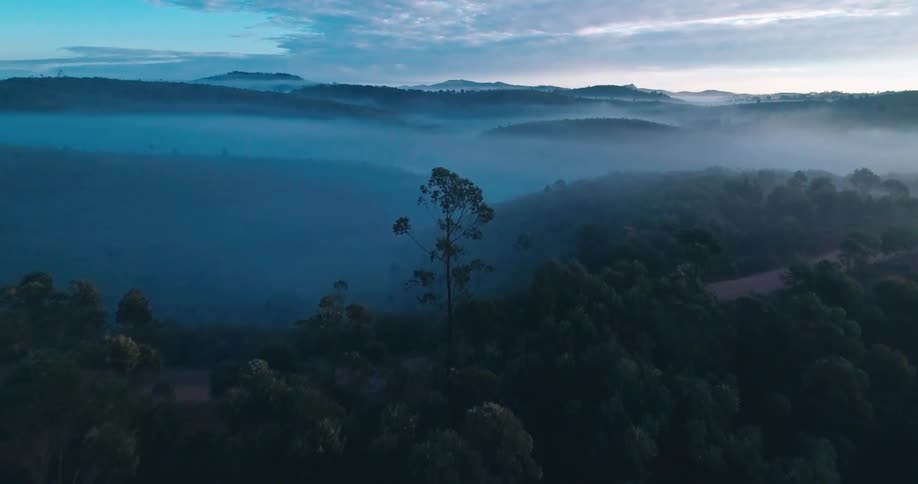 Aerial of a remote forest and hills at sunset