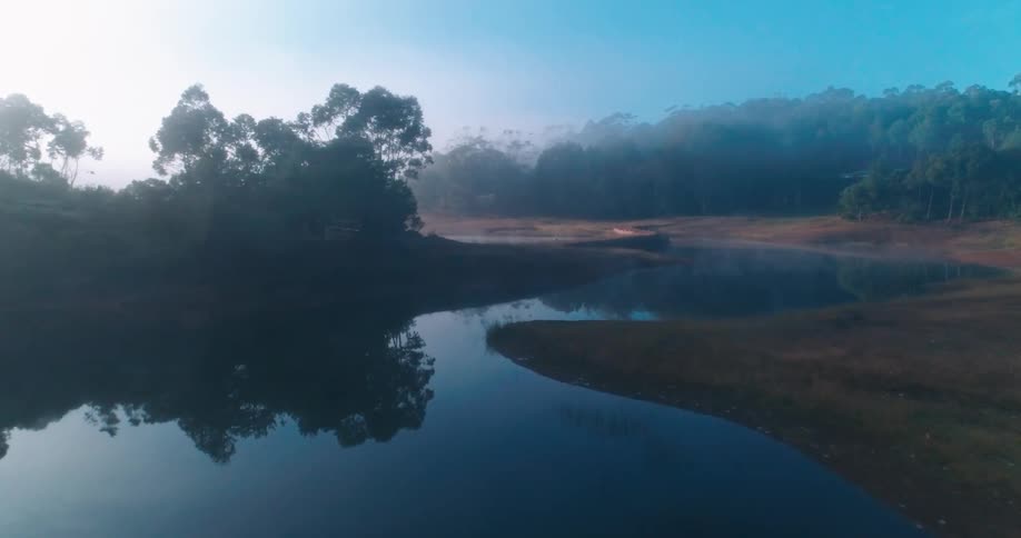 River that reflects nearby woods on a foggy day