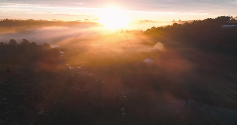 Sunrise over a mountainous forest