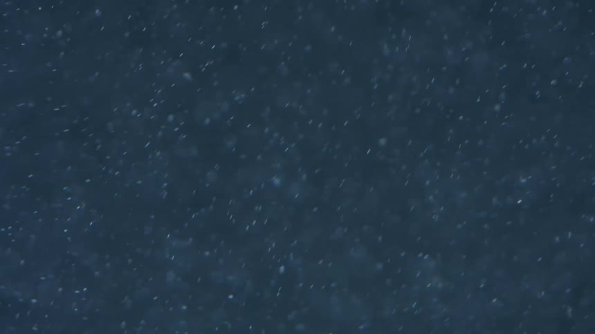 Snow falls outdoors at night