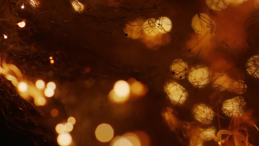 A cluster of several wires that are burning in incandescent orange colors