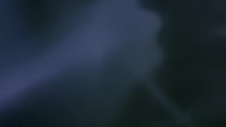 Swirls of abstract light against darkness