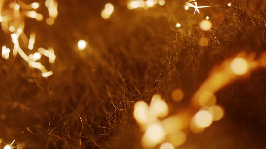 An arrangement of fuzzy fibers are progressively consumed by fire