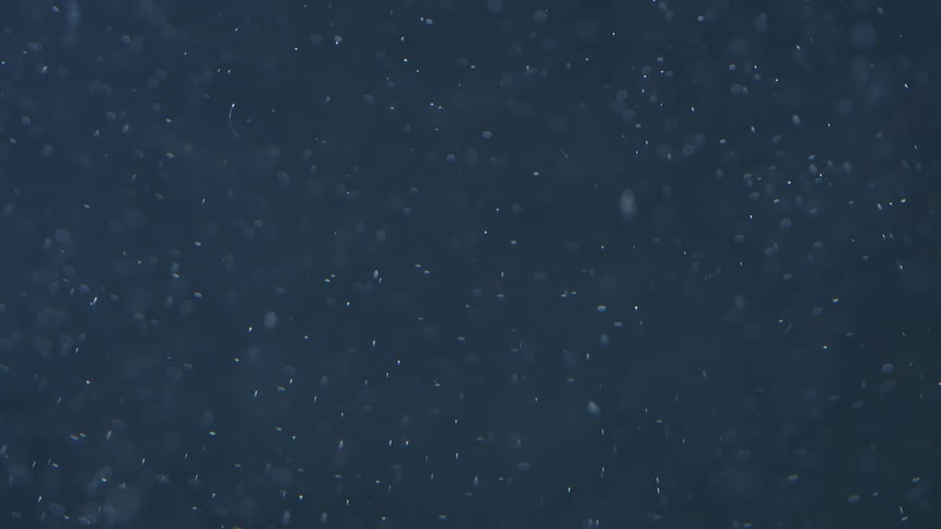 Dust particles floating in the air