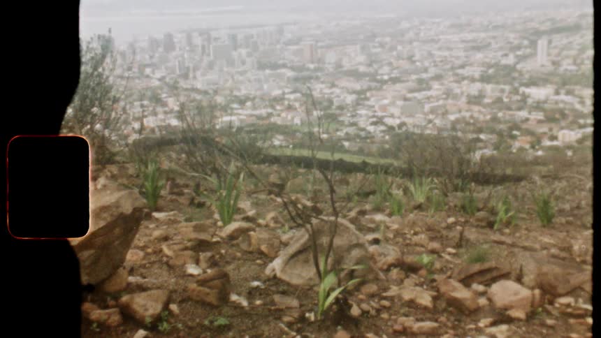 Plants grow on rocky soil near a large city