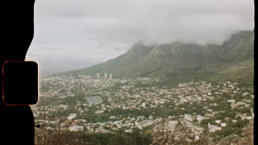 Plants grow on a plateau above a large city