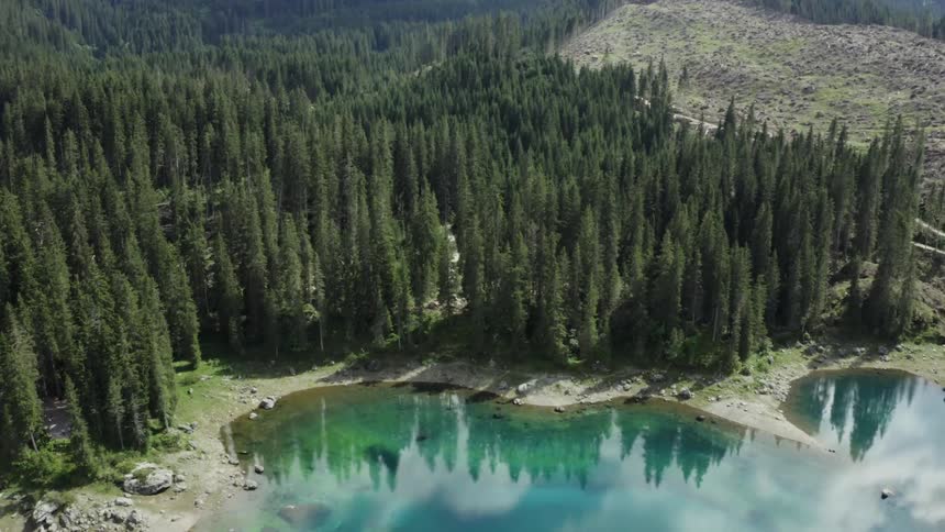 The forest is reflecting on the lake