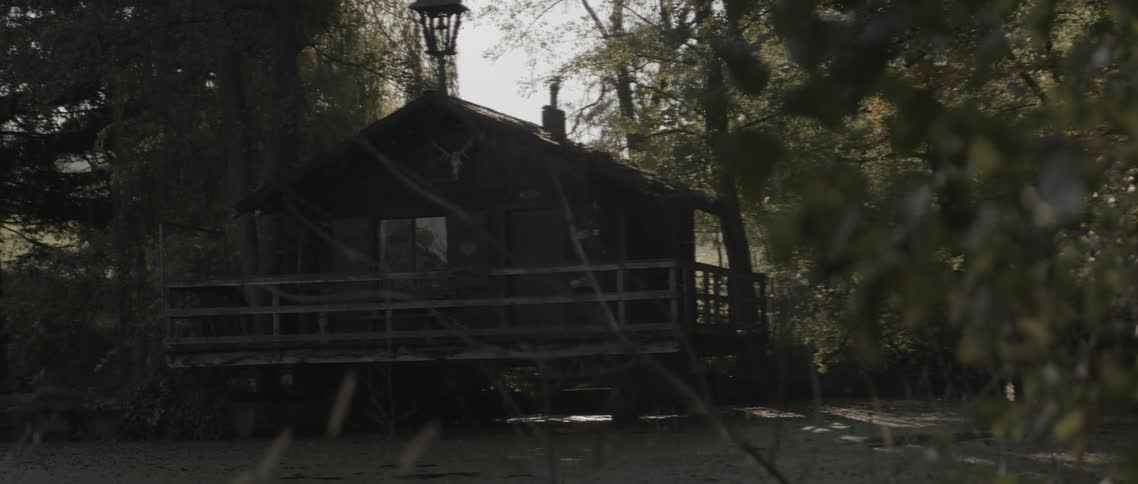 A cabin on a clearing in the woods
