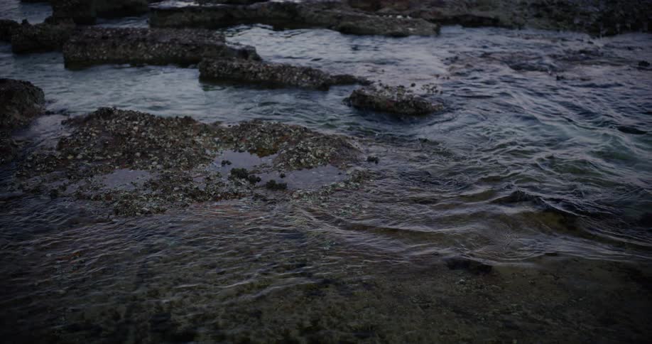 A view of a river flowing in slow motion