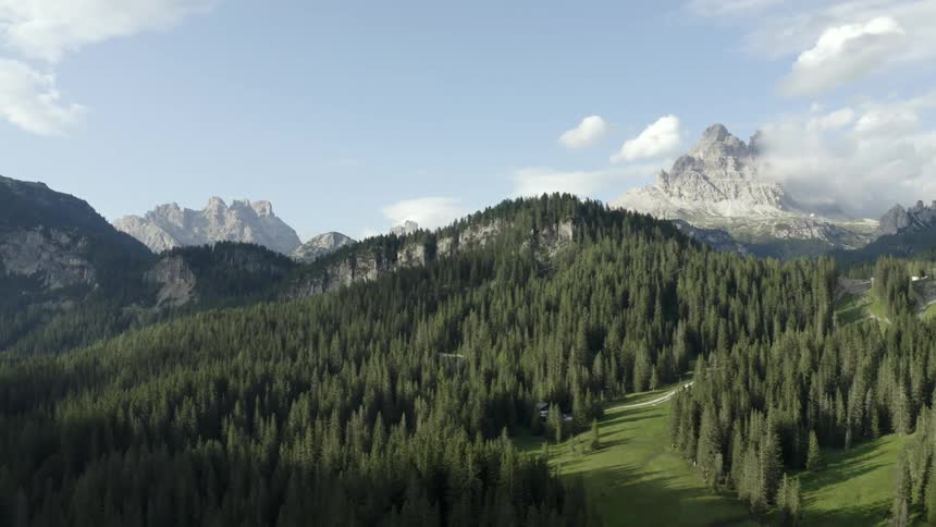 An aerial image of a forest full of green trees with rocky mountains covered in clouds in the background