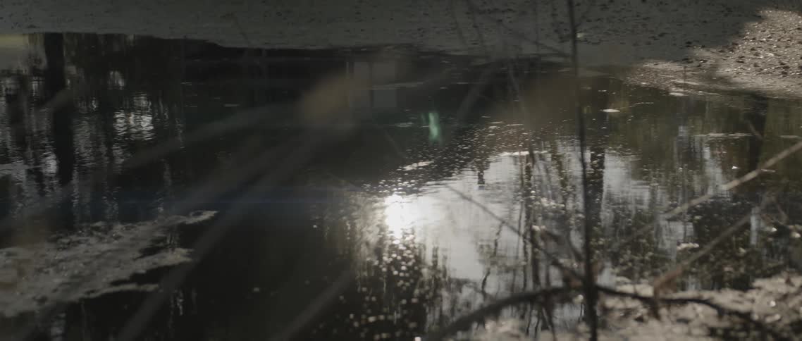 Sunlight reflects on a small pond on a winter day