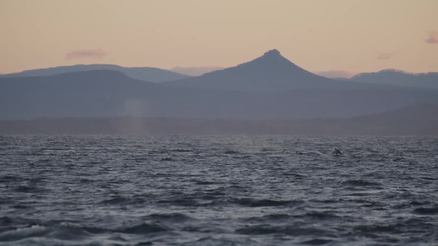 The mountains past the ocean are covered with fog