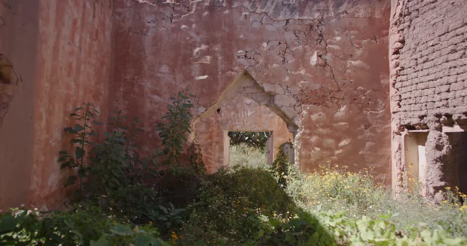 Weeds fill an open area in the courtyard of an old building
