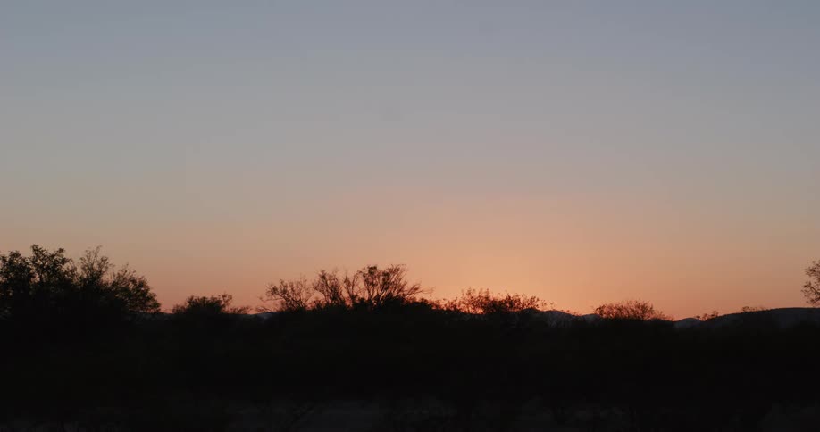The sun shines weakly over a small hill