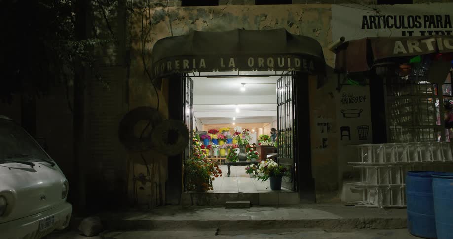 A person inside a flower shop in a city at night time