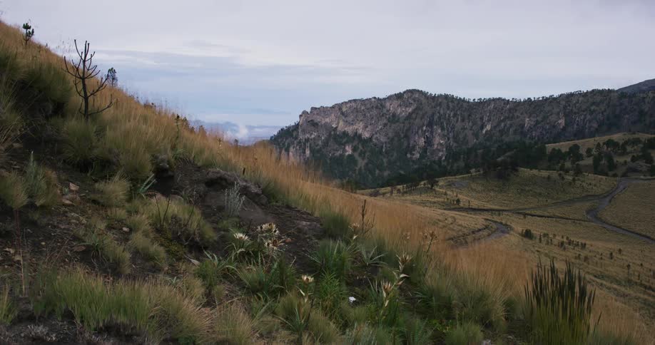 Wind blows over a grassy hillside with mountains in the background