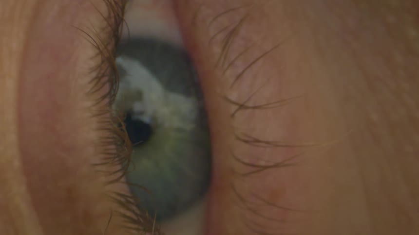 Extreme closeup of a persons light blue eye with blonde eyelashes