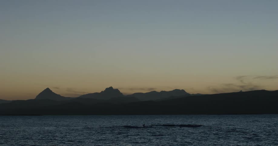 A person swims offshore of a coastal area